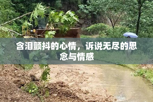 含泪颤抖的心情，诉说无尽的思念与情感