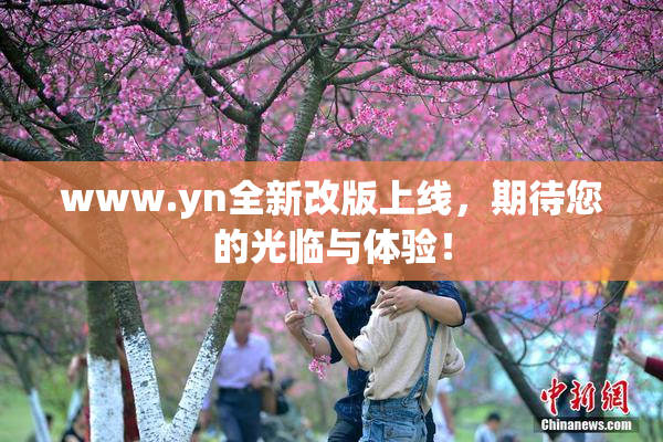 www.yn全新改版上线，期待您的光临与体验！