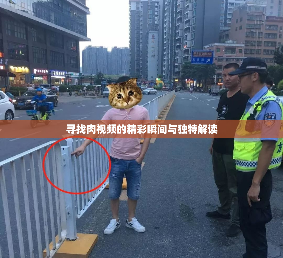 寻找肉视频的精彩瞬间与独特解读