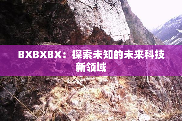 BXBXBX：探索未知的未来科技新领域