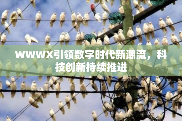 WWWX引领数字时代新潮流，科技创新持续推进
