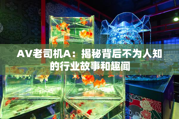 AV老司机A：揭秘背后不为人知的行业故事和趣闻