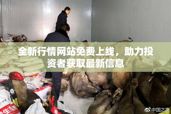 全新行情网站免费上线，助力投资者获取最新信息