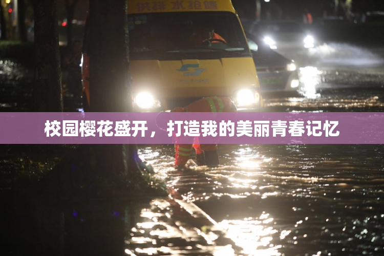 校园樱花盛开，打造我的美丽青春记忆