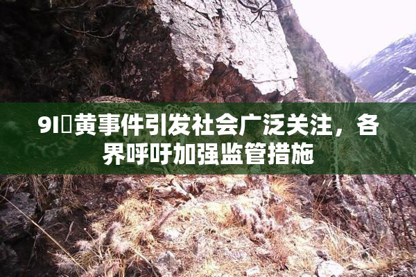 9I婬黄事件引发社会广泛关注，各界呼吁加强监管措施