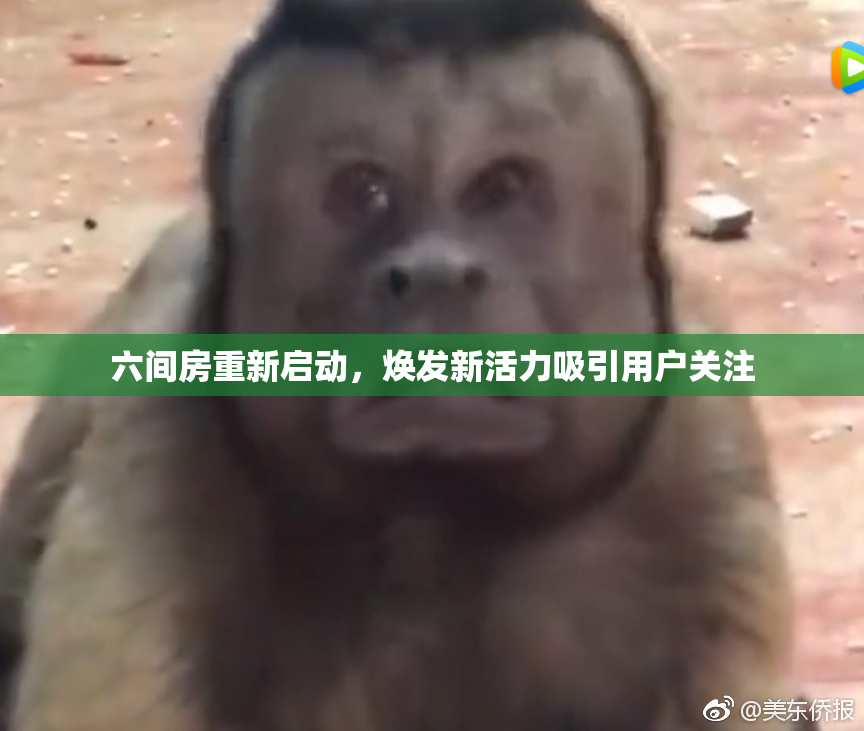 六间房重新启动，焕发新活力吸引用户关注