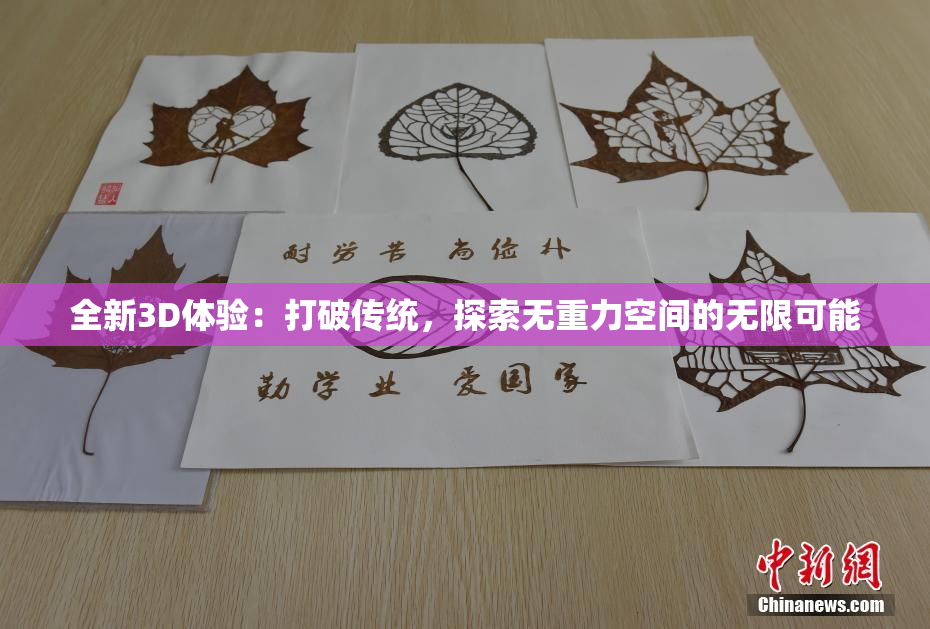 全新3D体验：打破传统，探索无重力空间的无限可能