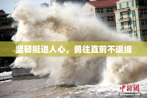 坚韧挺进人心，勇往直前不退缩