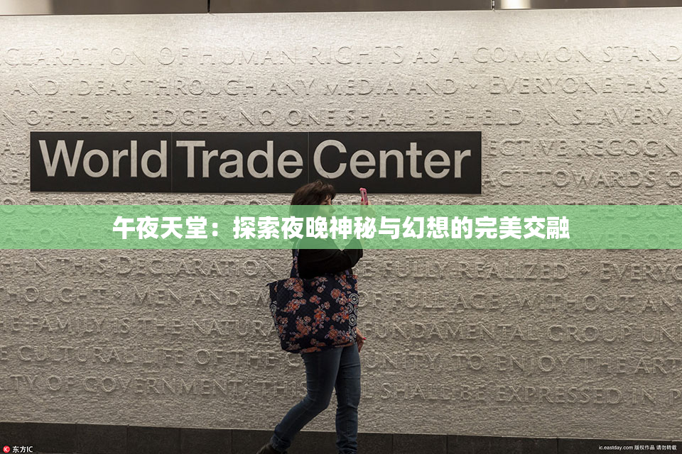 午夜天堂：探索夜晚神秘与幻想的完美交融