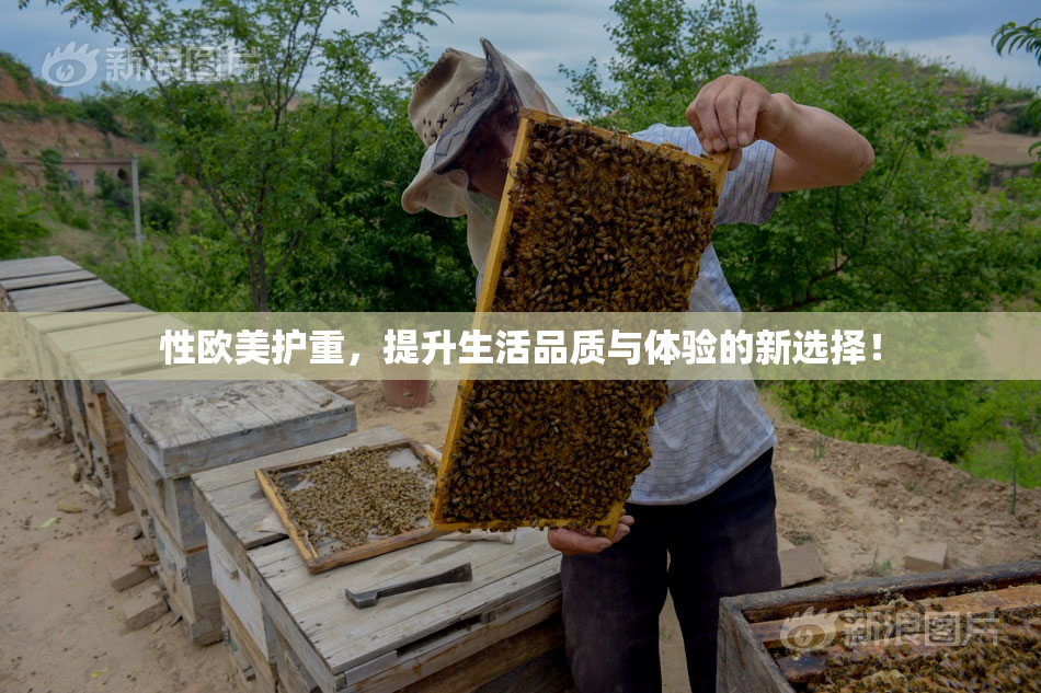 性欧美护重，提升生活品质与体验的新选择！