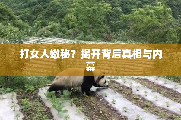 打女人嫩秘？揭开背后真相与内幕