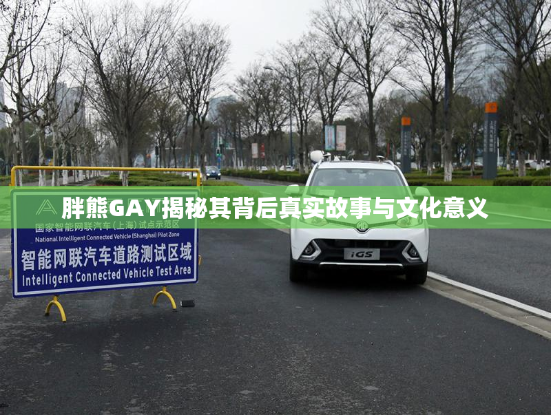 胖熊GAY揭秘其背后真实故事与文化意义