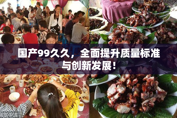 国产99久久，全面提升质量标准与创新发展！