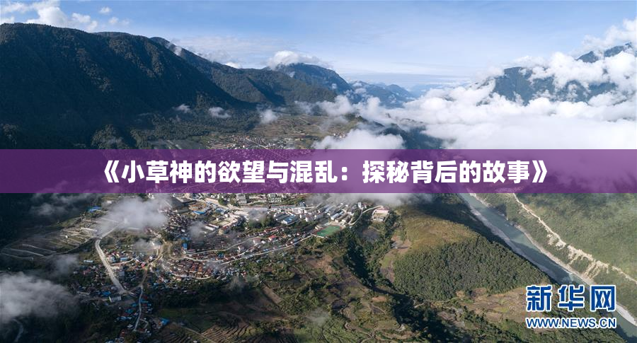 《小草神的欲望与混乱：探秘背后的故事》