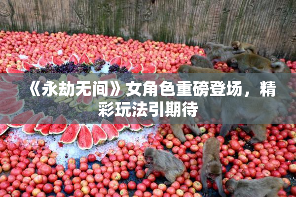《永劫无间》女角色重磅登场，精彩玩法引期待