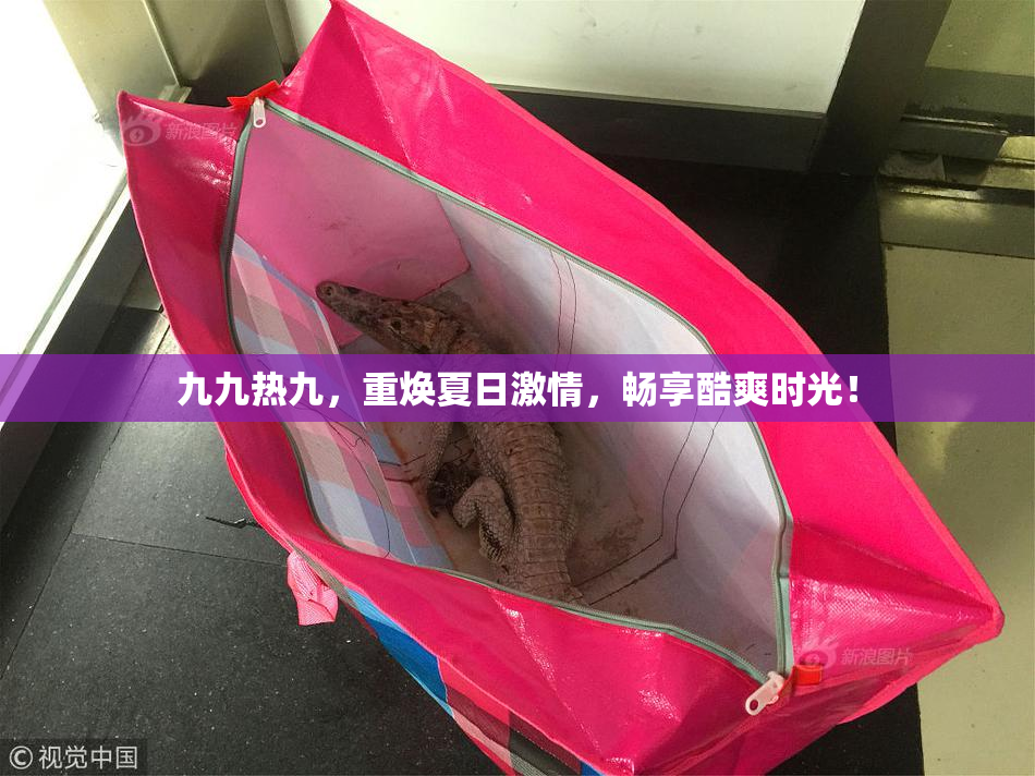 九九热九，重焕夏日激情，畅享酷爽时光！
