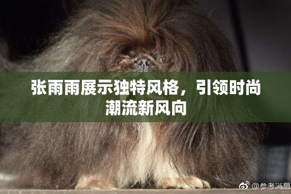 张雨雨展示独特风格，引领时尚潮流新风向