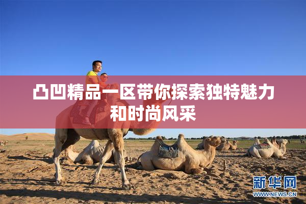 凸凹精品一区带你探索独特魅力和时尚风采