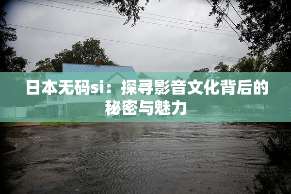 日本无码si：探寻影音文化背后的秘密与魅力