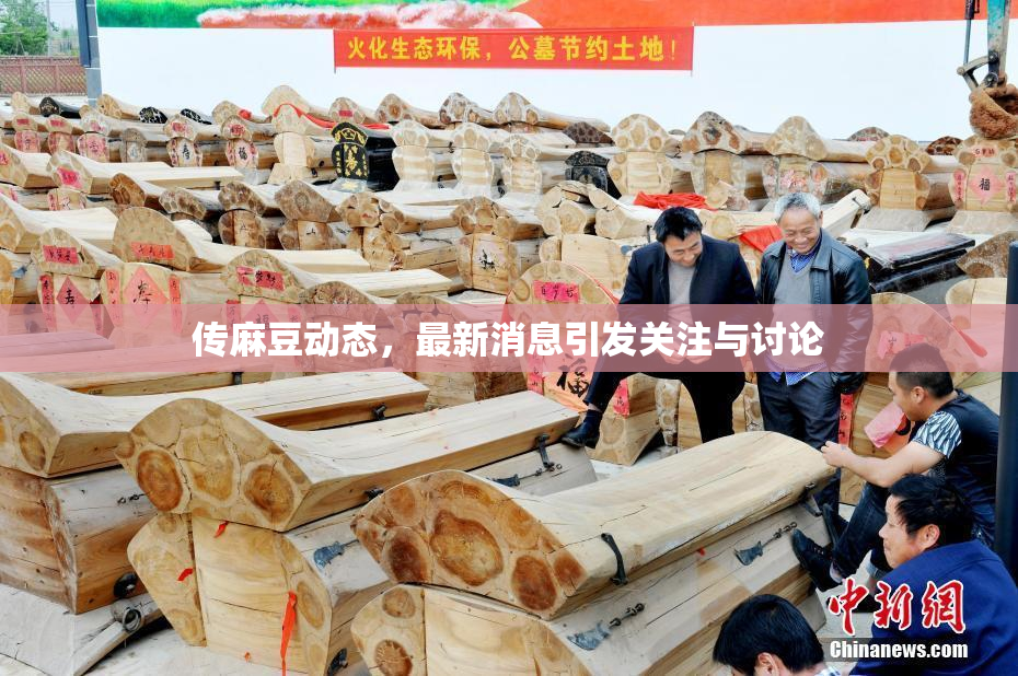 传麻豆动态，最新消息引发关注与讨论