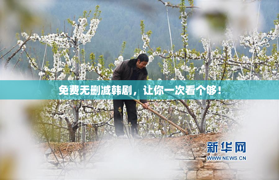 免费无删减韩剧，让你一次看个够！