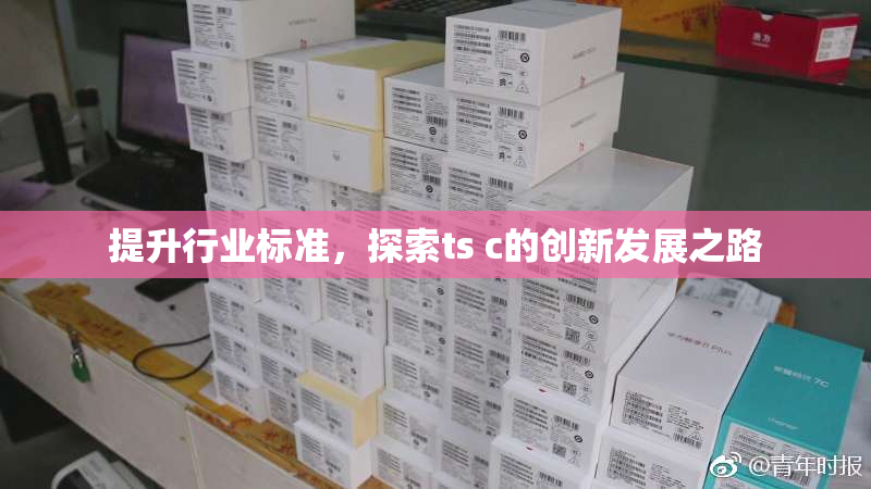 提升行业标准，探索ts c的创新发展之路