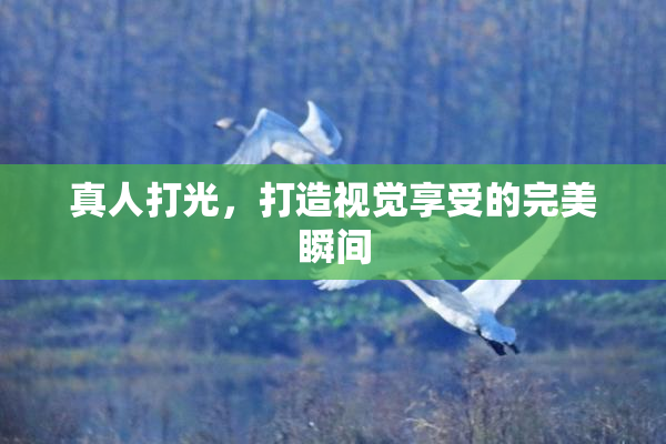 真人打光，打造视觉享受的完美瞬间