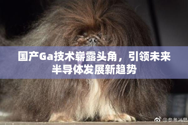国产Ga技术崭露头角，引领未来半导体发展新趋势