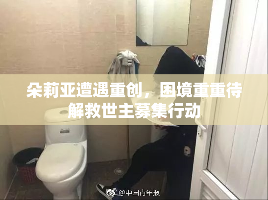 朵莉亚遭遇重创，困境重重待解救世主募集行动