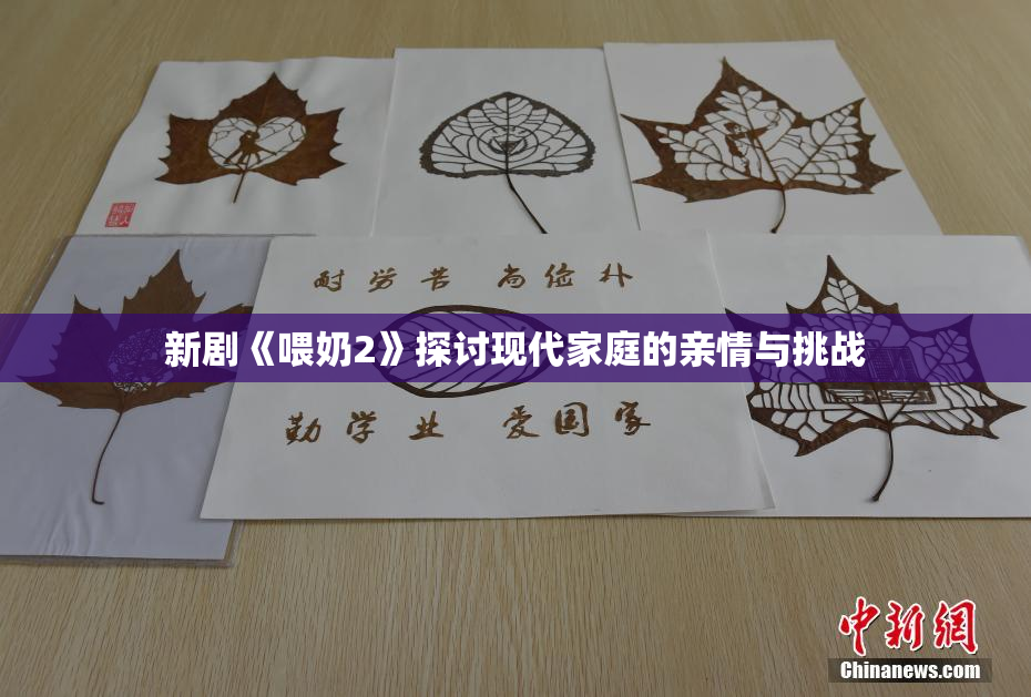 新剧《喂奶2》探讨现代家庭的亲情与挑战