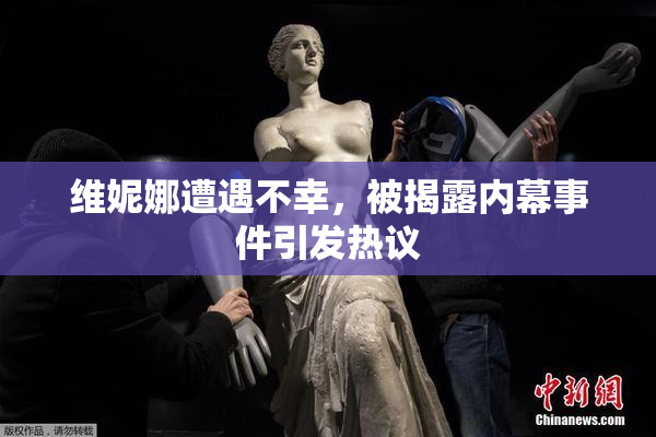 维妮娜遭遇不幸，被揭露内幕事件引发热议