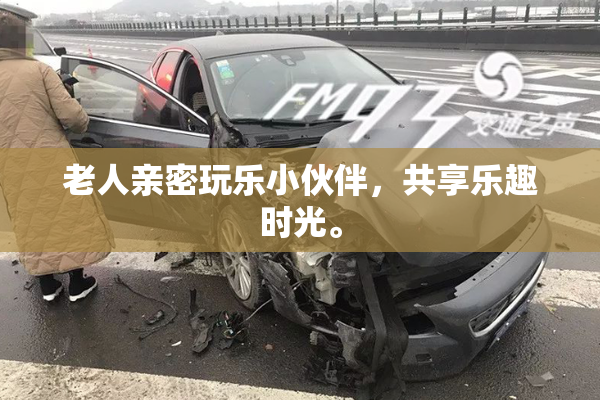老人亲密玩乐小伙伴，共享乐趣时光。