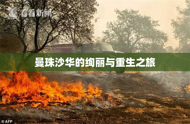 曼珠沙华的绚丽与重生之旅