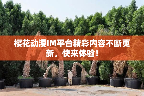 樱花动漫IM平台精彩内容不断更新，快来体验！