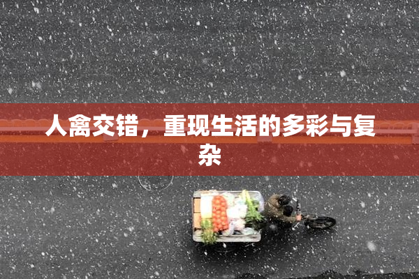 人禽交错，重现生活的多彩与复杂