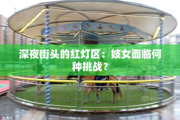 深夜街头的红灯区：妓女面临何种挑战？