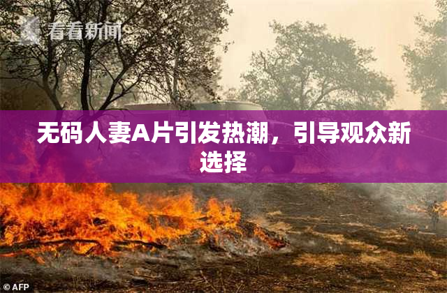 无码人妻A片引发热潮，引导观众新选择