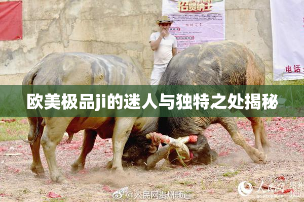 欧美极品ji的迷人与独特之处揭秘