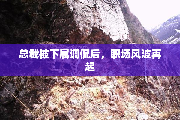总裁被下属调侃后，职场风波再起