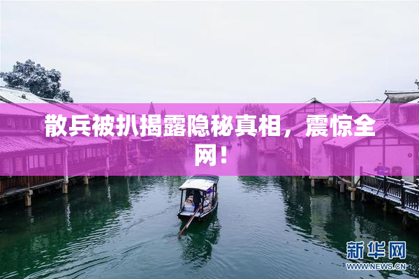 散兵被扒揭露隐秘真相，震惊全网！