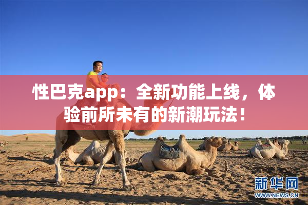 性巴克app：全新功能上线，体验前所未有的新潮玩法！
