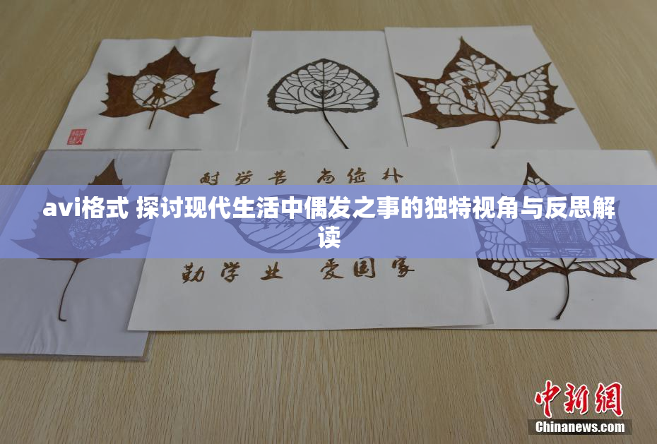 avi格式 探讨现代生活中偶发之事的独特视角与反思解读