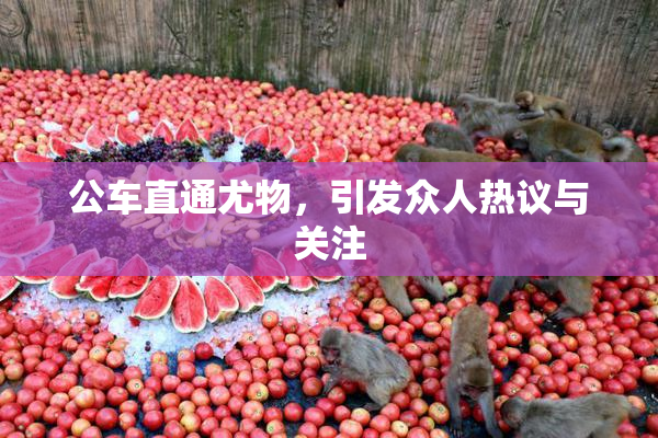公车直通尤物，引发众人热议与关注