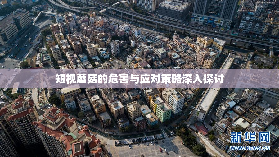 短视蘑菇的危害与应对策略深入探讨