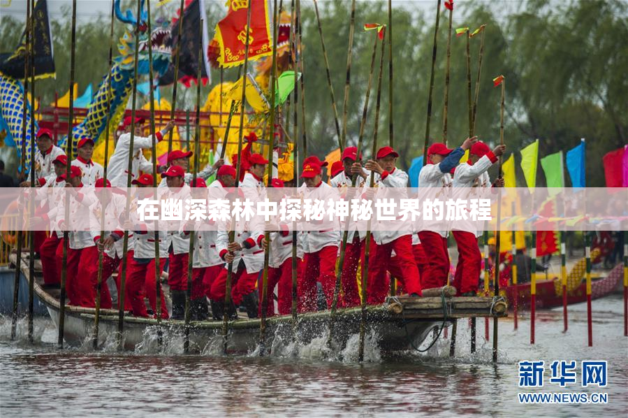 在幽深森林中探秘神秘世界的旅程
