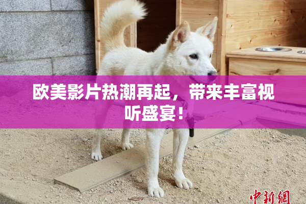 欧美影片热潮再起，带来丰富视听盛宴！