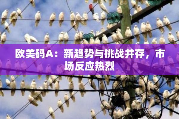 欧美码A：新趋势与挑战并存，市场反应热烈