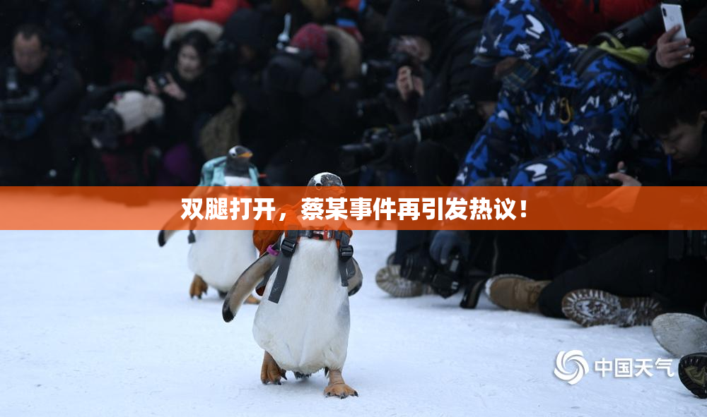 双腿打开，蔡某事件再引发热议！