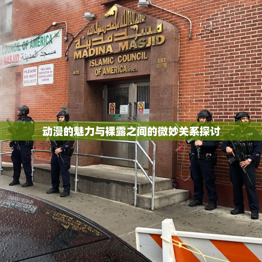 动漫的魅力与裸露之间的微妙关系探讨