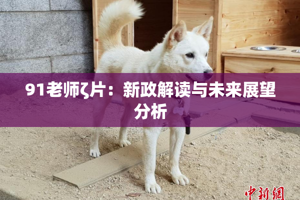 91老师ζ片：新政解读与未来展望分析